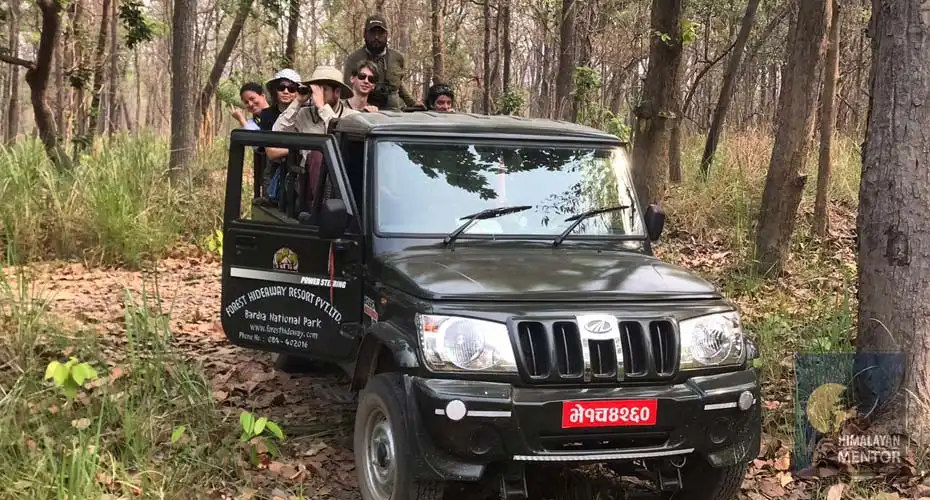 Jeep safari in Bardia National Park