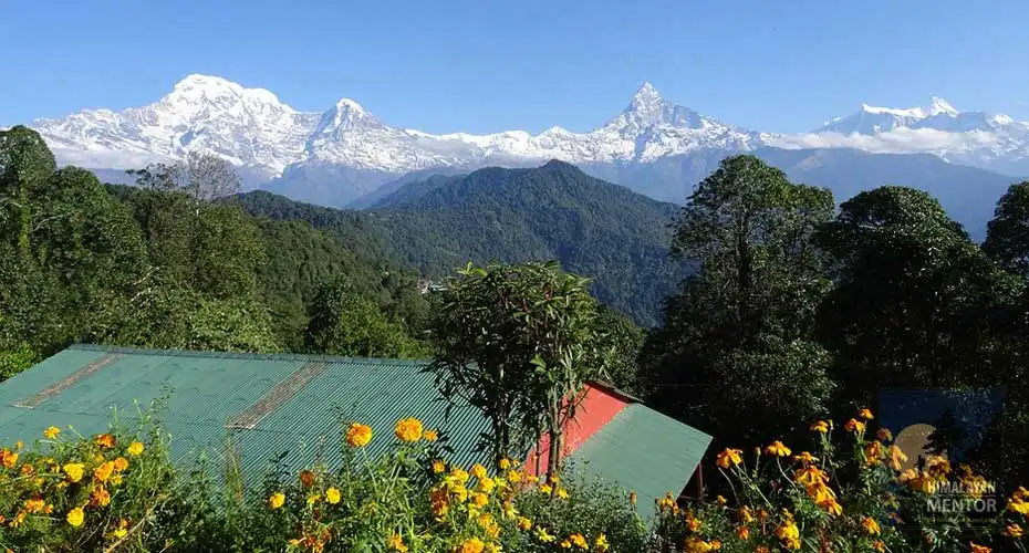 Himalayan view from Australian Camp