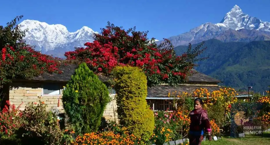 The beautiful nature at Dhampus during spring season