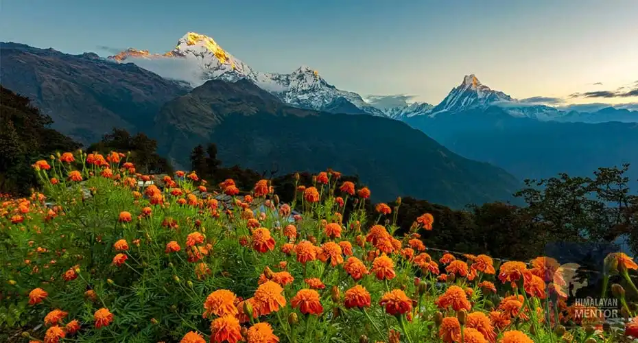 Annapurna Luxury Lodge Trekking: Unforgettable Luxury Hiking in Nepal
