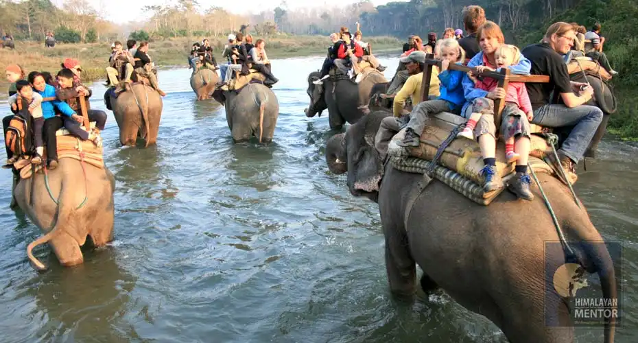 Elephant back ride at Chitwan National Park to explore the wild animals. 