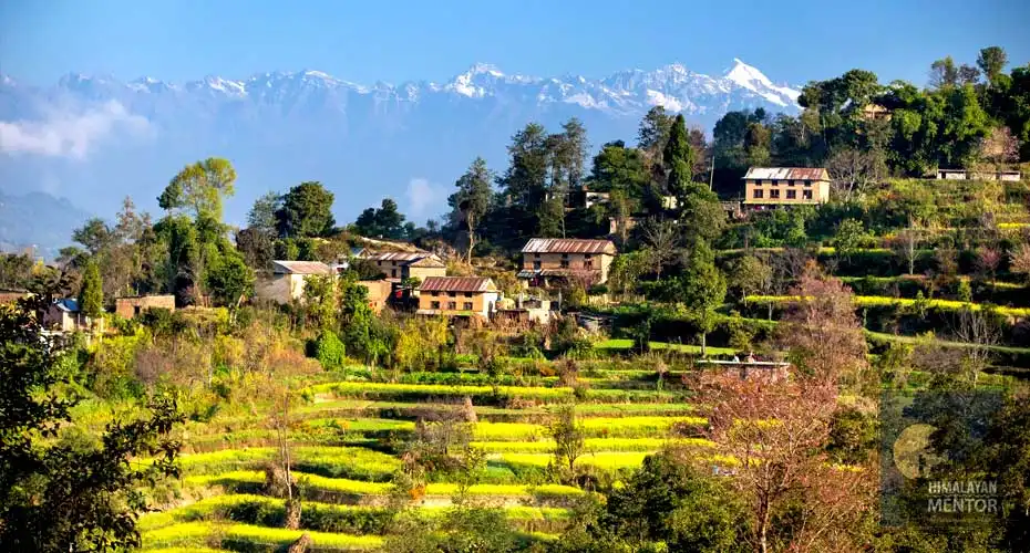 The terrace field and Himalayan panorama from Nagarkot